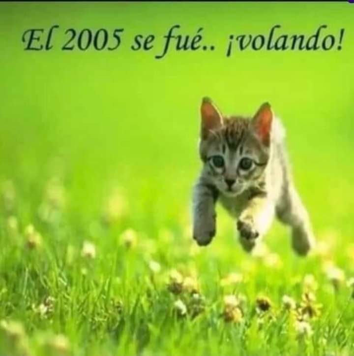 gente, ¿como dicen que sera el 2006? :D - meme