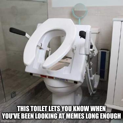 Toilet of judgement. - meme