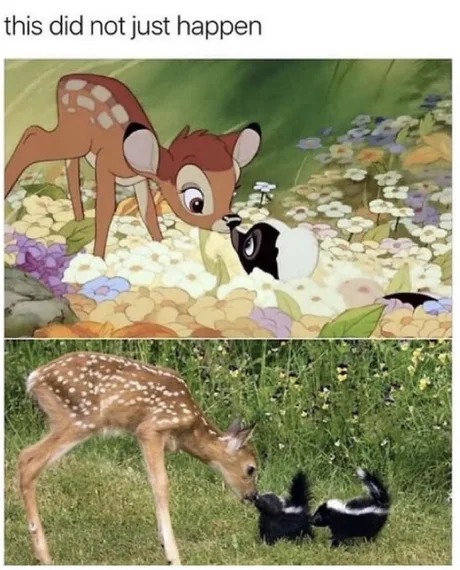Bambi is real - meme