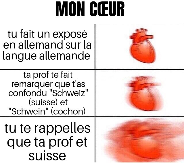 Zut - meme