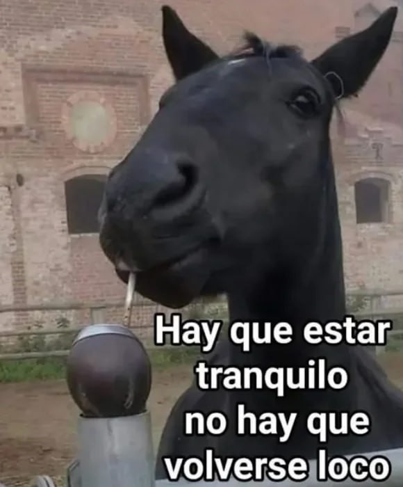 Hay que estar tranquilos - meme