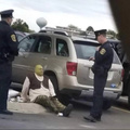 These cops know better then to mess with shrek