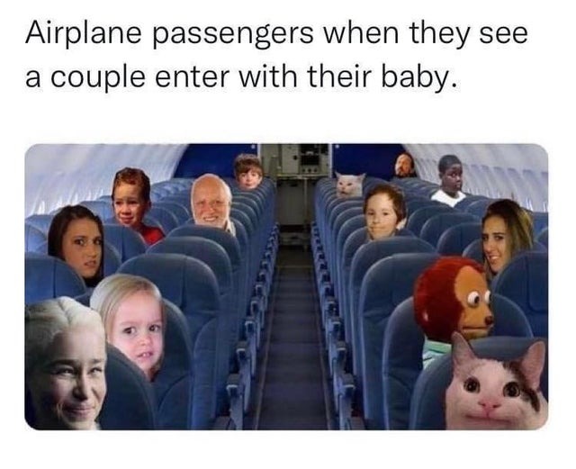 Airplane passengers - meme