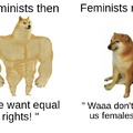 Feminism has gone to shit