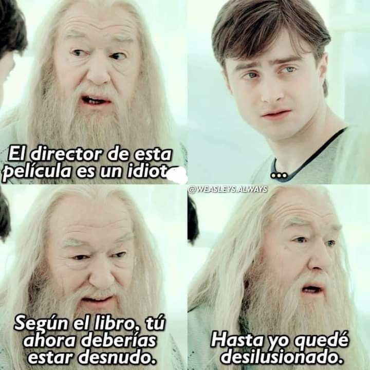 Dumbledore gei - meme
