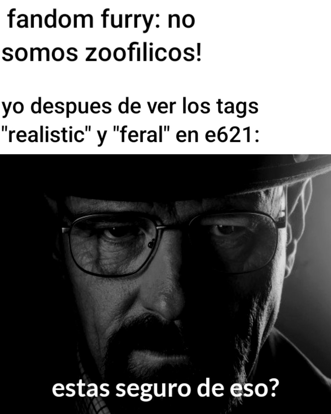 Últimos memes :) Memedroid