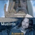 Mohammed's miracle