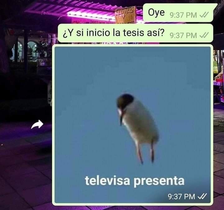 Equisde - meme