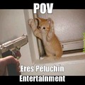 Contexto: Peluchín Entertainment se hizo conocido por asesinar a sus gatos. Este Point Of Wiew lo muestra en acción por dispararle a un minino.