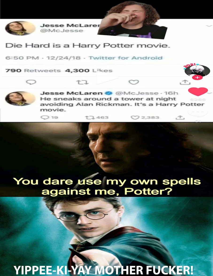 Die Hard Potter - meme