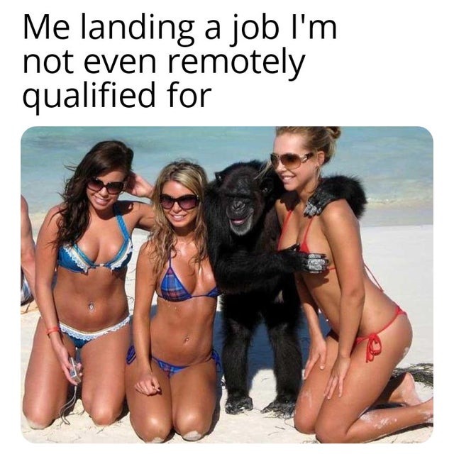Job you are not qualified for - meme