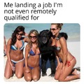 Job you are not qualified for