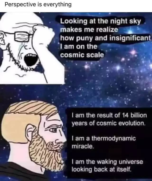 I am the waking universe - meme
