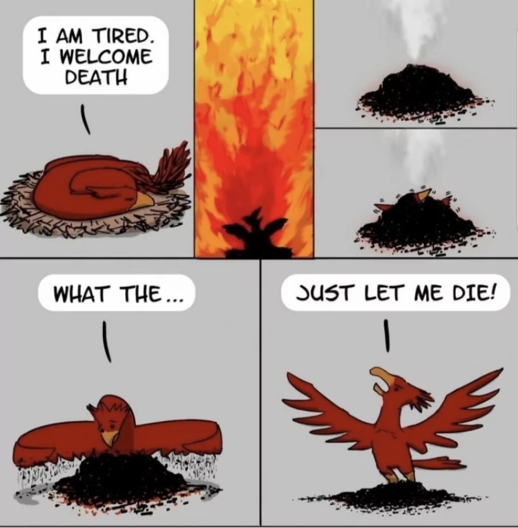 Phoenixes be like - meme