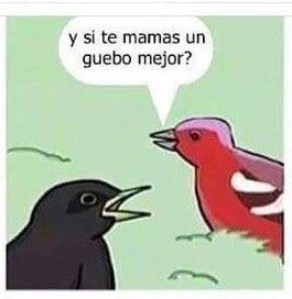 Primer meme