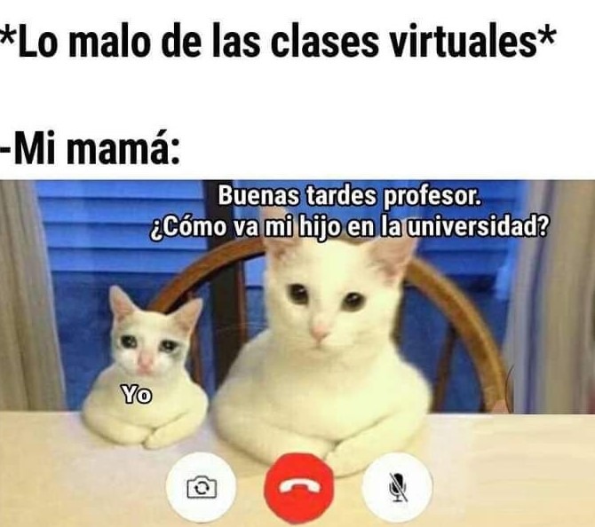 Meme de clases online de la uni