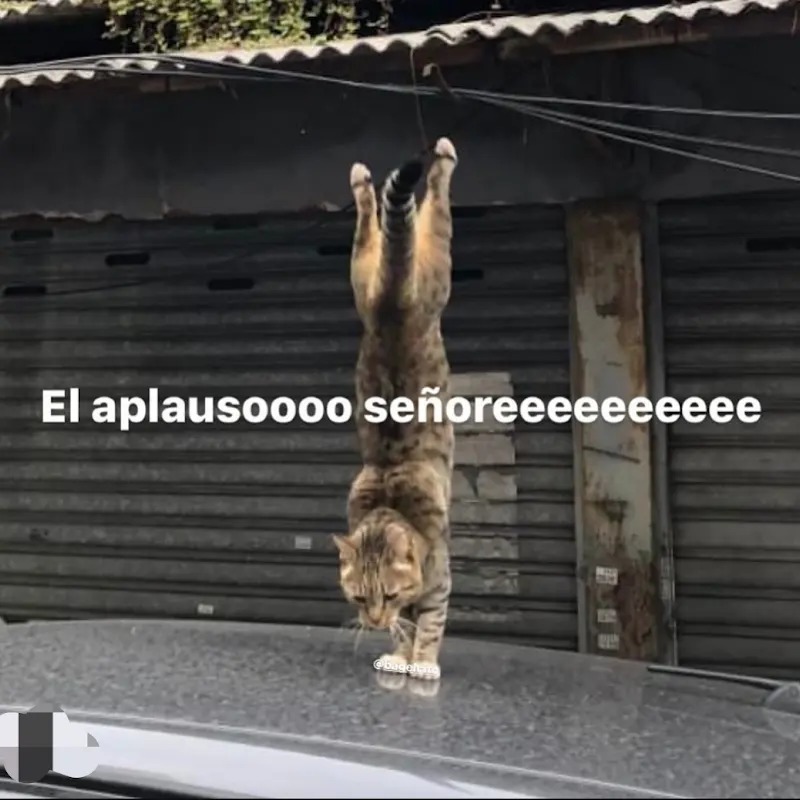 Titulo 2 - meme
