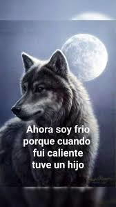 Top memes de Lobo en español :) Memedroid