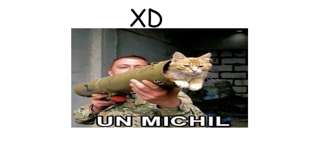 NO EL MICHI VIENE A MI CASAAAAAAAAAAAAAAAAAAAAA - meme