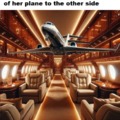Taylor Swift airplane inception