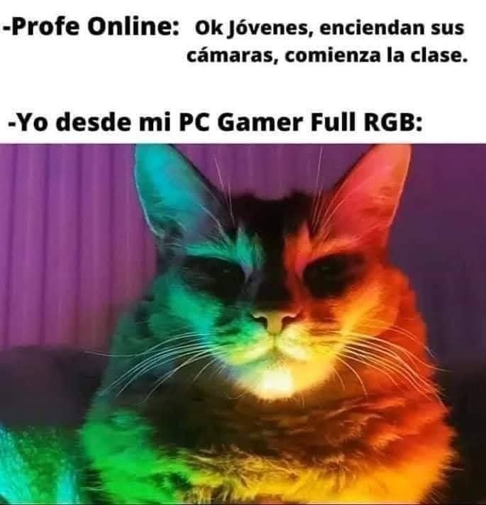Profe: prendan cámara. Yo desde mi PC gamer RGB: - meme