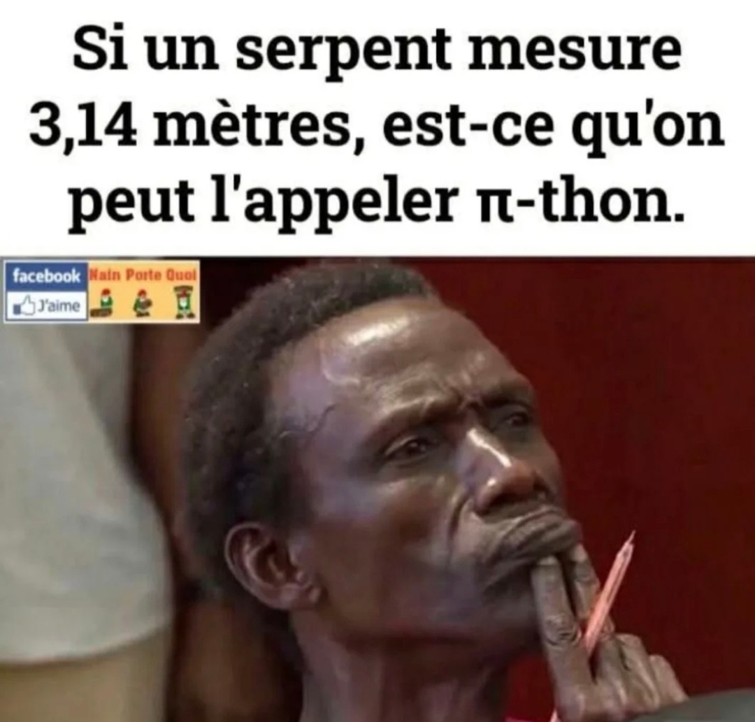 Un serpent de 3,14m ? on l'appelle un python évidemment - meme