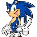 Sonic Dice Que Hay Dos Géneros