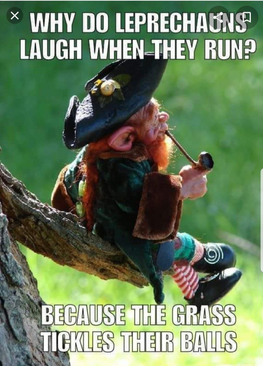 Leprechaun - meme