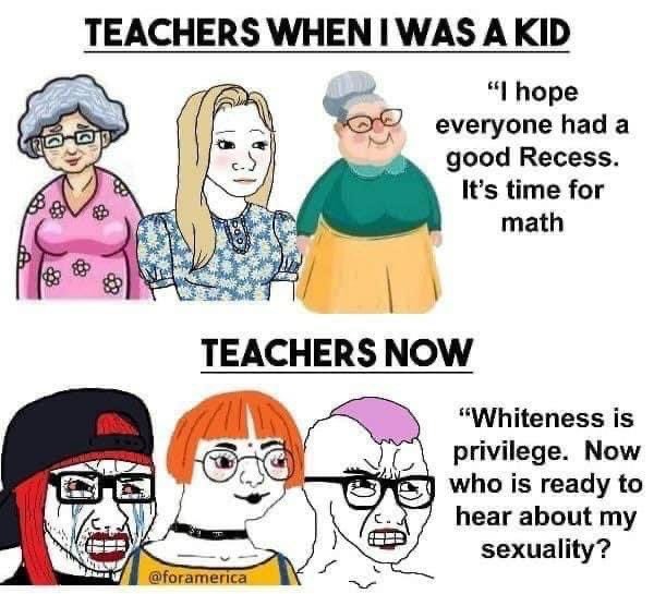 Leftist teachers be like - meme
