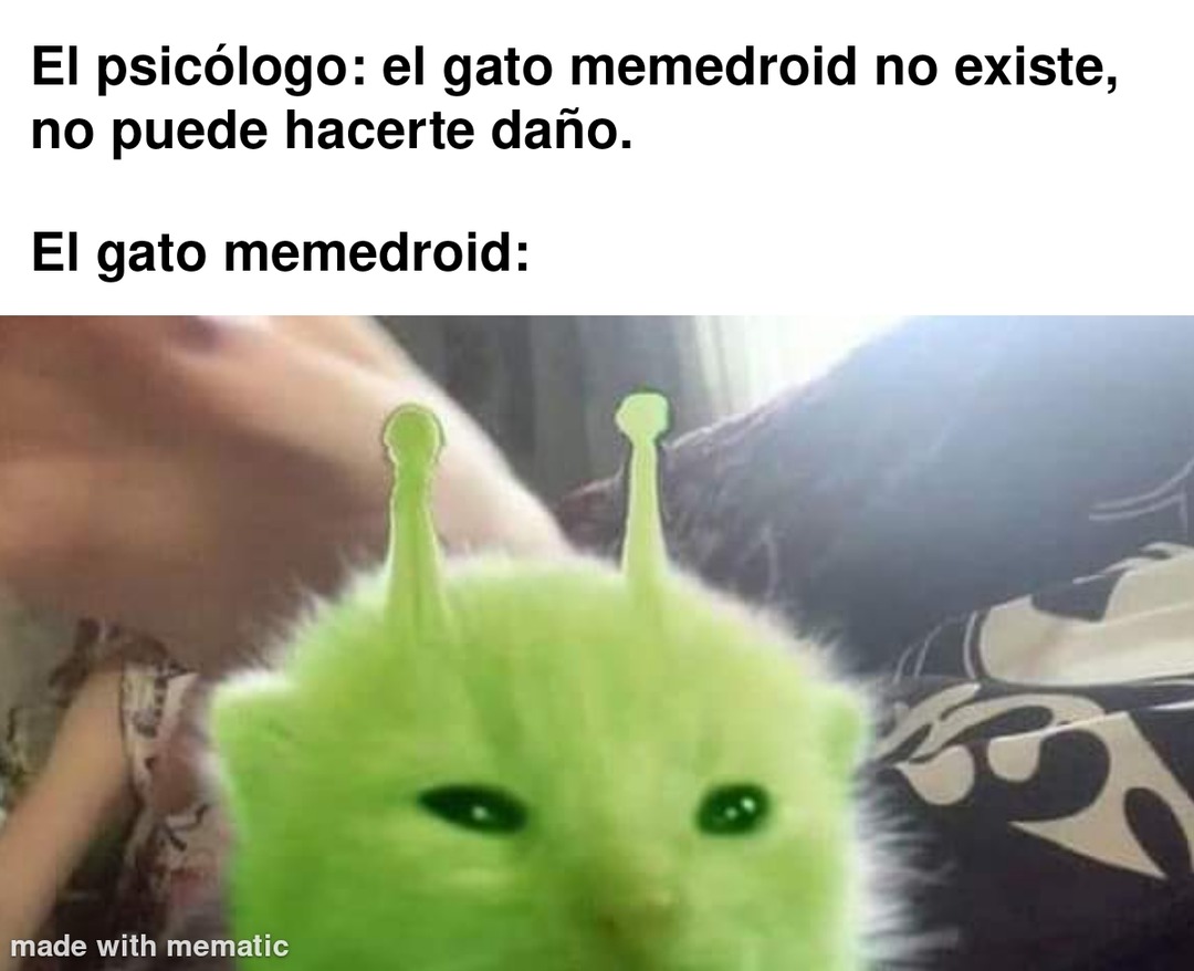 Le gato - Meme by Nyll :) Memedroid