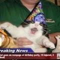 Cat goes on rampage at birthday party