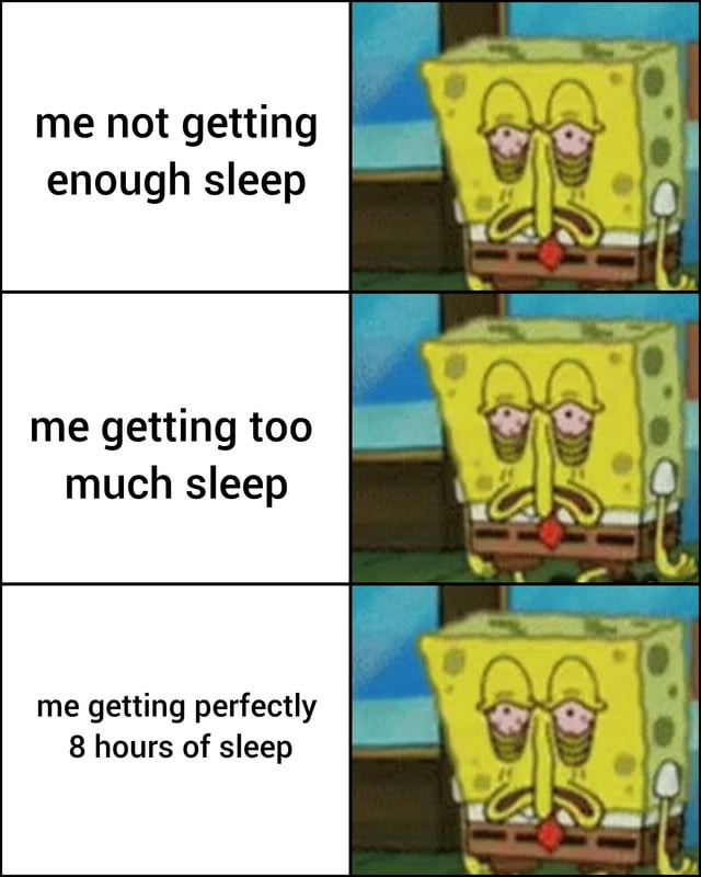 How does sleep work - meme