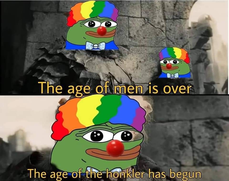 The age of honks - meme