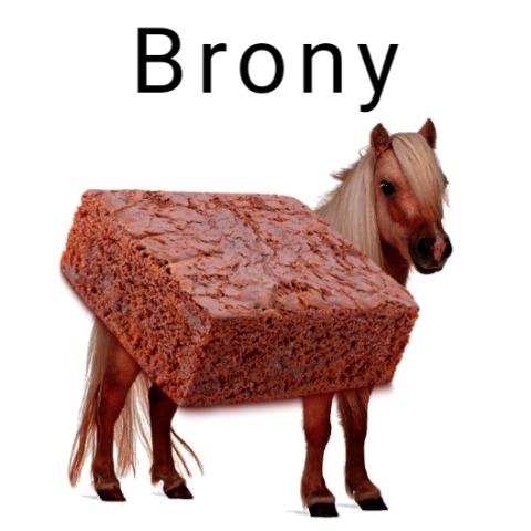 brony - meme