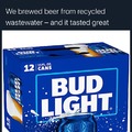 dongs in a beer