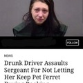 Drunk driver assaults sergeant ofr not letting her keep pet ferret during booking