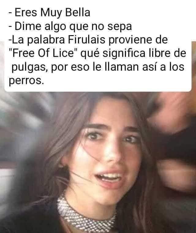 Por qué se les llama a los perro Firulais? - meme