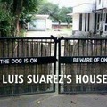 Luis must be crazy