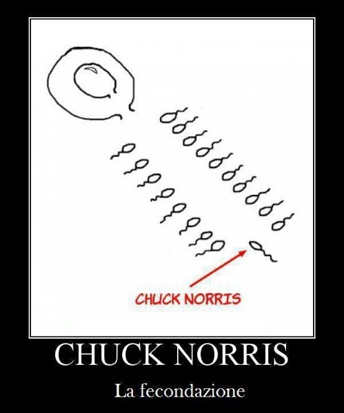 prima di nascere gia avevano paura di chuck Norris - meme