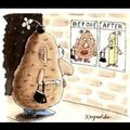 Mrs. potato head -» Mrs. French fry