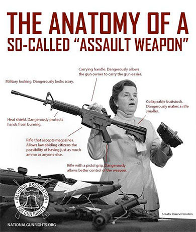 "assault" weapon - meme