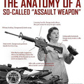 "assault" weapon