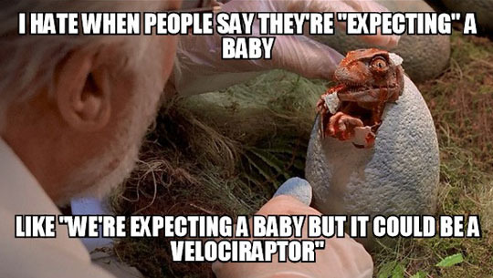 Im expecting a baby chuck norris - meme