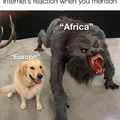 Internet's reaction when you mention Europe or Africa