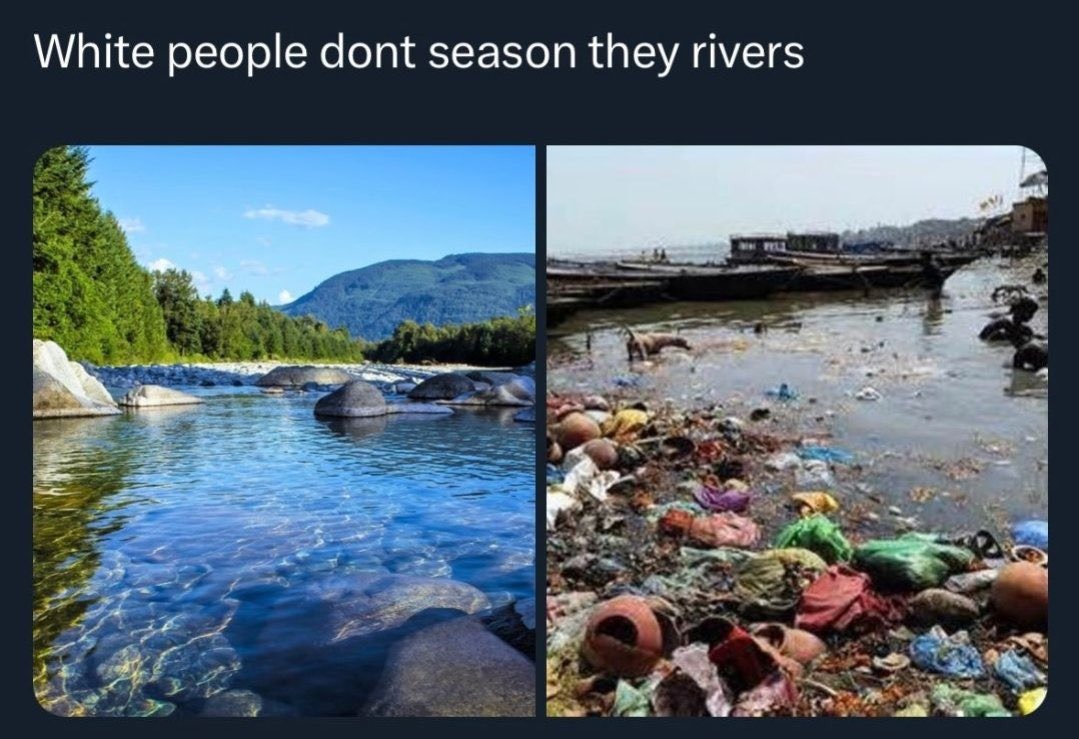 dongs in a river - meme