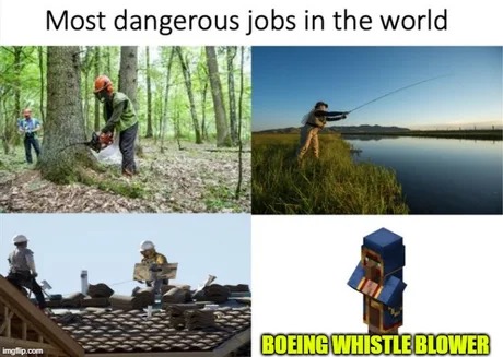 Most dangerous jobs in the world - meme