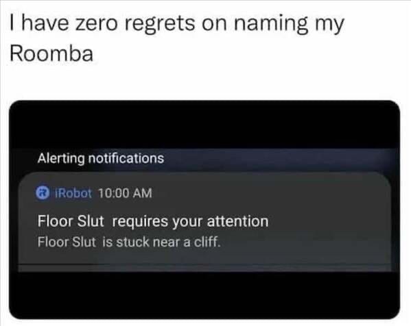 Zero regrets. - meme