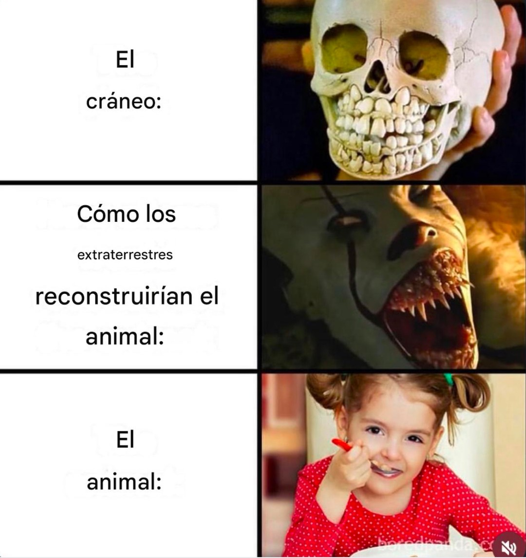XD - meme