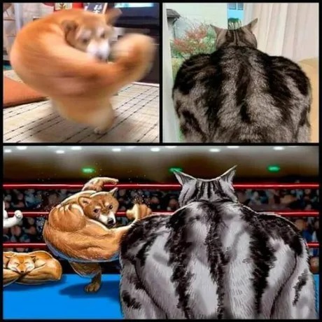 Por fin un rival demi taya - meme