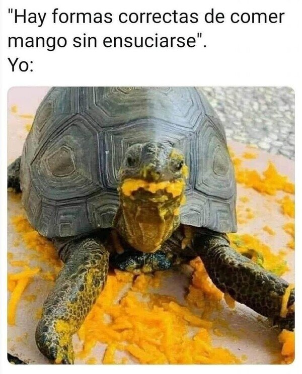 así se come mango - meme